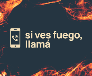 TW_EMERGENCIAIGNEA300X250 (2)