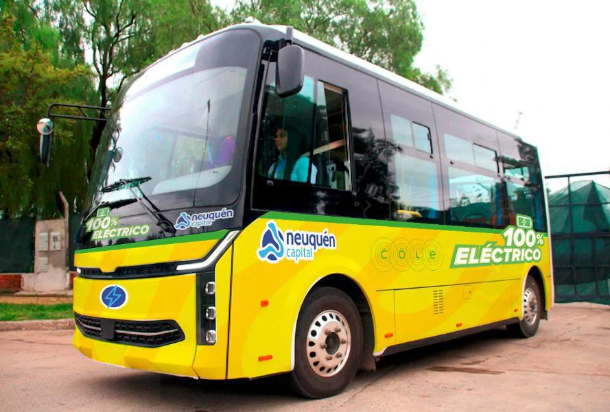 buses2