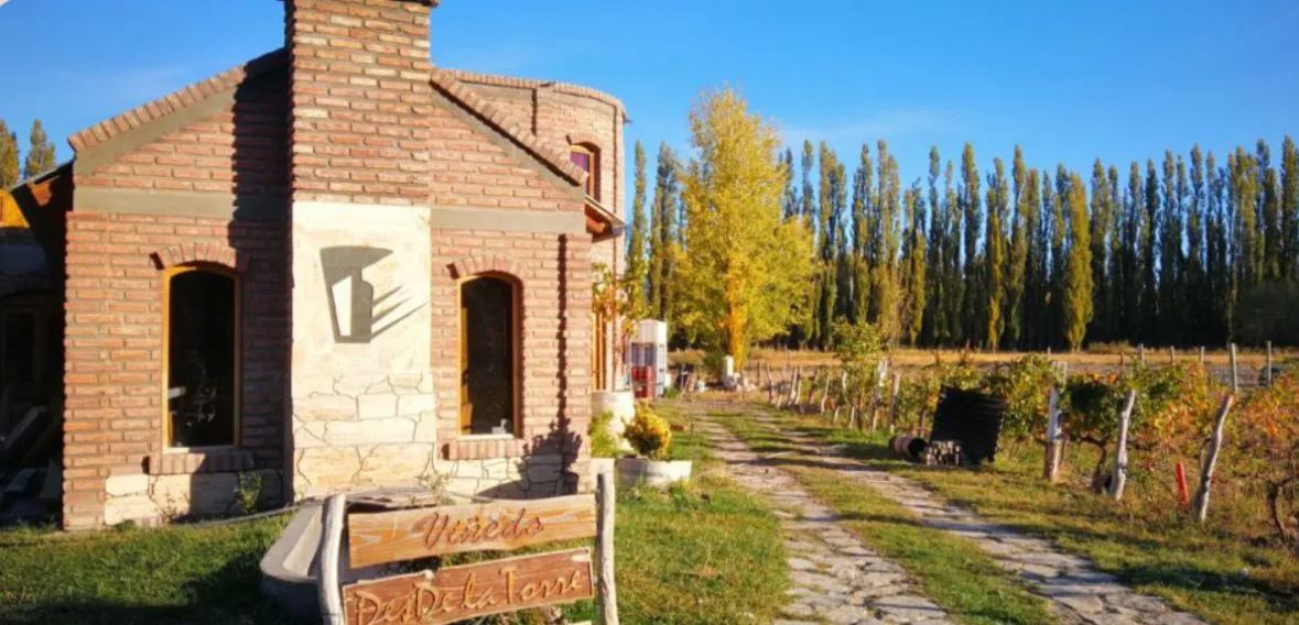 WhatsApp Image 2025-09-02 at 11.48.40