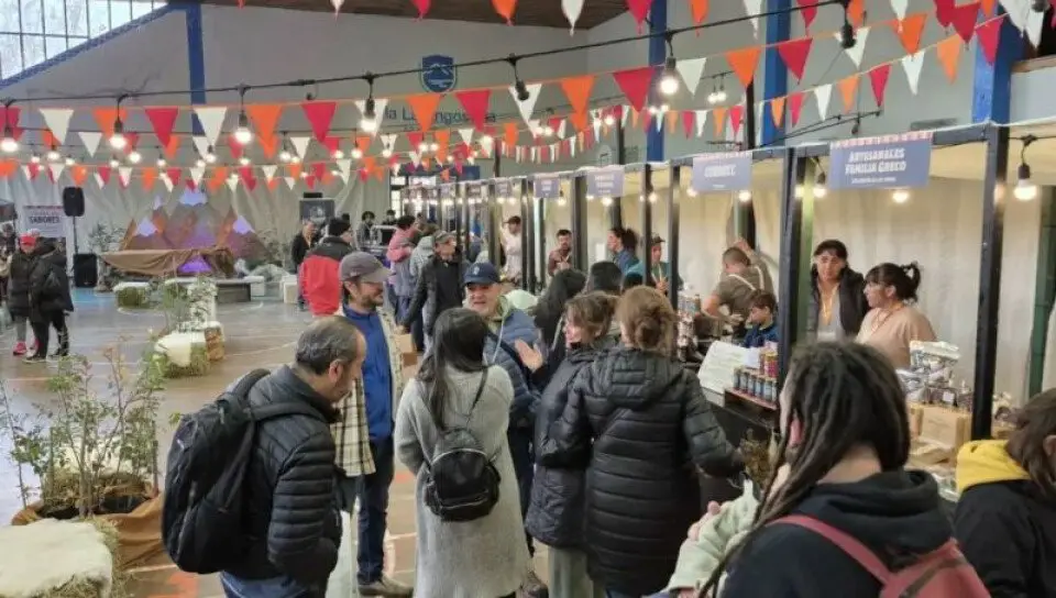 emprendedores-neuquinos-feria-medium-size