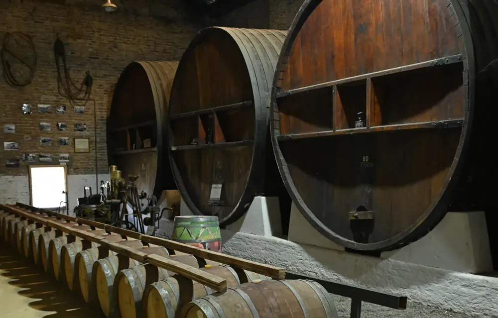 Roca-Bodega-Humberto-Canale-salto-2