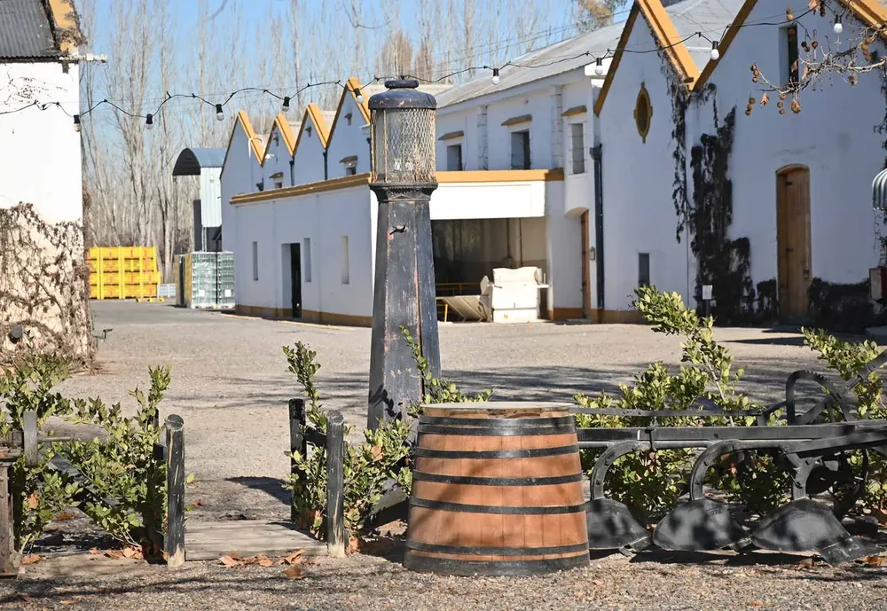 Bodega-Humberto-Canale-salto-16