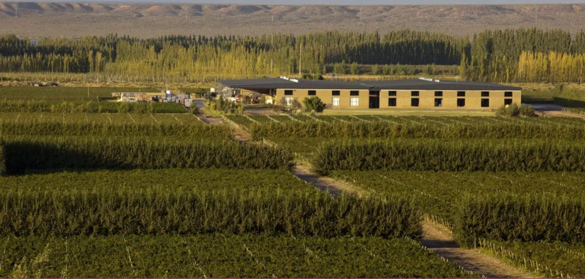 WhatsApp Image 2025-09-02 at 11.46.39