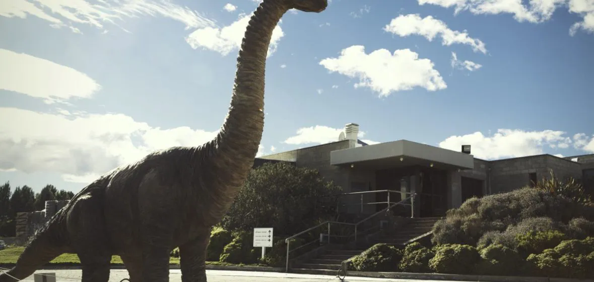 WhatsApp Image 2025-09-02 at 11.47.05