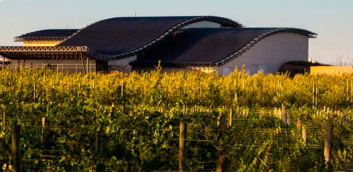 WhatsApp Image 2025-09-02 at 11.48.26